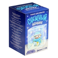 Набор для опытов &laquo;Снежный ночник: Снеговик&raquo;, своими руками