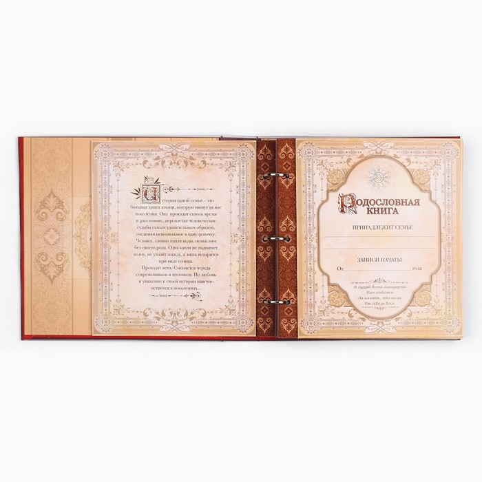 Родословная книга с рамкой под фото &laquo;Семейная книга&raquo;, 50 листов, 21,5 х 23,7 см.