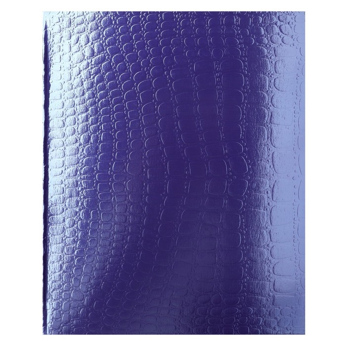 Тетрадь 48 листов, в клетку, Croco, бумвинил metallic, тиснение, блок офсет, цвет фиолетовый Тетрадь 48 листов, в клетку, Croco, бумвинил metallic, тиснение, блок офсет, цвет фиолетовый