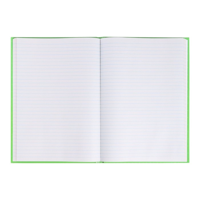 Книга учета, 96 листов, обложка картон 7БЦ, блок ГАЗЕТНЫЙ, линия, цвет зеленый Книга учета, 96 листов, обложка картон 7БЦ, блок ГАЗЕТНЫЙ, линия, цвет зеленый