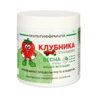 Удобрение комплексное минеральное для Клубники МУЛЬТИФОРМУЛА ВЕСНА, 500 г Удобрение комплексное минеральное для Клубники МУЛЬТИФОРМУЛА ВЕСНА, 500 г