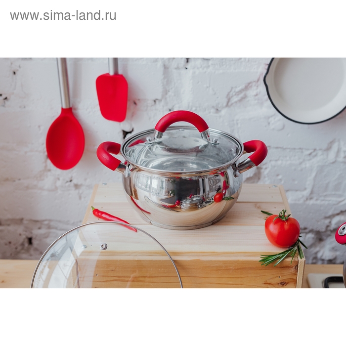 Кастрюля из нержавеющей стали Доляна &laquo;Вернер&raquo;, 1,9 л, d=16 см, с крышкой