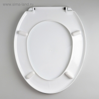 Сиденье для унитаза с крышкой Росспласт «Декор. Яблоко», 44,5×37 см, белое Сиденье для унитаза с крышкой Росспласт «Декор. Яблоко», 44,5×37 см, белое