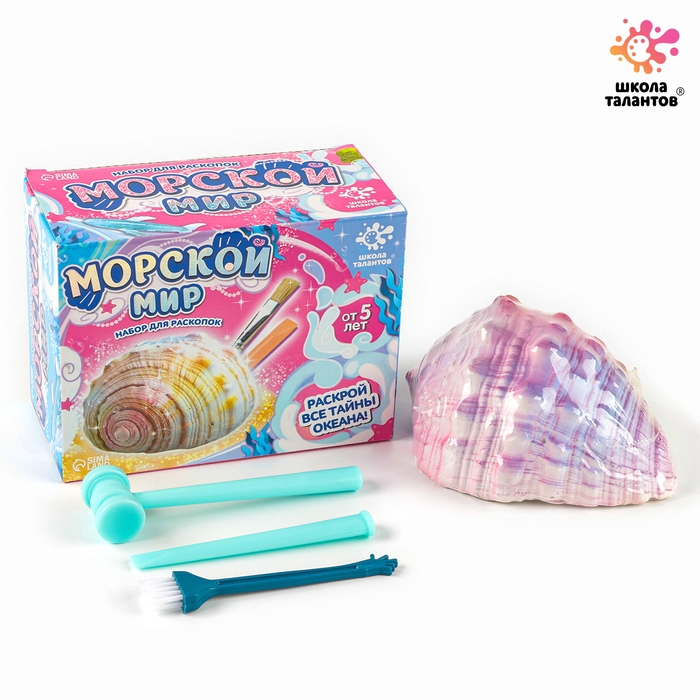 Набор для раскопок &laquo;Морской мир&raquo;, гипсовая ракушка, инструменты, 5+