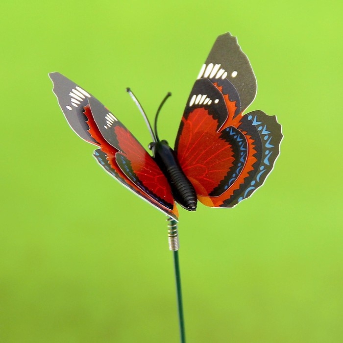 Штекер Штекер "Бабочка Дельфиус" 25см, набор 15шт, МИКС