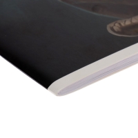 Альбом для рисования А4, 32 листа на скрепке "Динозавр", обложка мелованный картон, блок 100 г/м&sup2;