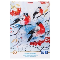 Альбом для акварели А4, 10 листов на клею, Erich Krause ArtBerry "Снегири", блок 180 г/м², экстра белая, твёрдая подложка Альбом для акварели А4, 10 листов на клею, Erich Krause ArtBerry "Снегири", блок 180 г/м², экстра белая, твёрдая подложка