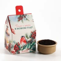 Новый год! Чай чёрный в коробке-домик «Тепла и уюта», со вкусом: Зимняя вишня, 50 г. Новый год! Чай чёрный в коробке-домик «Тепла и уюта», со вкусом: Зимняя вишня, 50 г.