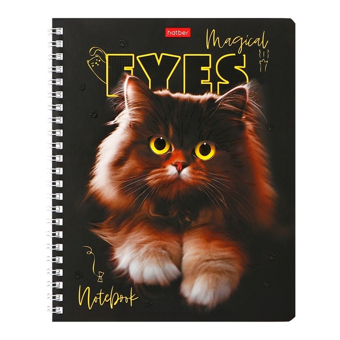 Тетрадь 48 листов в клетку, на гребне Тетрадь 48 листов в клетку, на гребне "Волшебные глаза", обложка мелованный картон, матовая ламинация, 3D-лак, блок 65 г/м2, МИКС