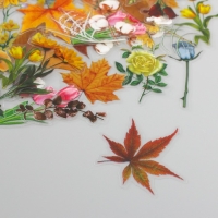 Наклейки для творчества пластик PVC "Разнообразие природы" набор 60 шт 10х14 см