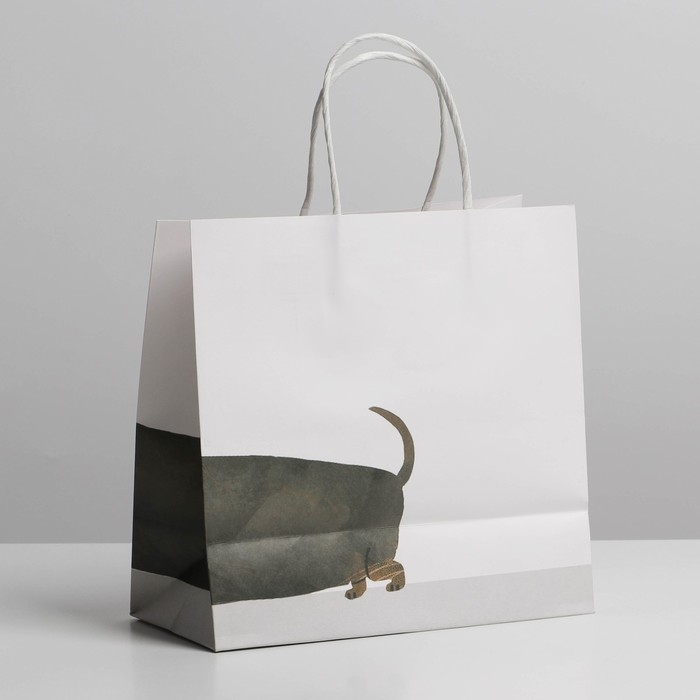 Пакет подарочный, упаковка, &laquo;Пирожочек&raquo;, 22 х 22 х 11 см