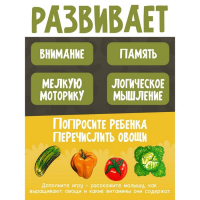 Больше-меньше «Овощи» развивающая доска Сегена Больше-меньше «Овощи» развивающая доска Сегена
