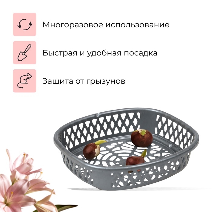 Корзинка для луковичных, овальная, 30.6 &times; 27 см, h = 7.5 см, МИКС