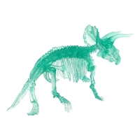 3D пазл «Трицератопс», кристаллический, 10 деталей 3D пазл «Трицератопс», кристаллический, 10 деталей