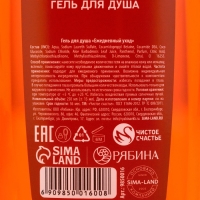 Гель для душа &laquo;Волшебных моментов!&raquo;, 250 мл, аромат пряного глинтвейна, Новый Год