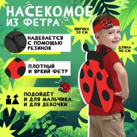 Карнавальный набор «Весёлые насекомые»: повязка и божья коровка из фетра, 3–7 лет Карнавальный набор «Весёлые насекомые»: повязка и божья коровка из фетра, 3–7 лет