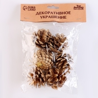 Новый год! Набор декоративных шишек, 6 шт., в золотом цвете, 17,5 &times; 11,5 &times; 6 см