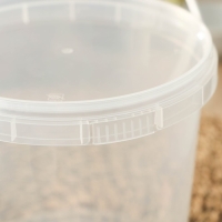 Ведро пластиковое одноразовое с крышкой &laquo;Для солений&raquo;, 1,5 л, d=14 см, прозрачное, 226 шт/уп.