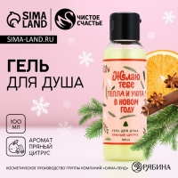 Гель для душа &laquo;Тепла и уюта в Новом Году!&raquo;, 100 мл, аромат пряного цитруса, ЧИСТОЕ СЧАСТЬЕ