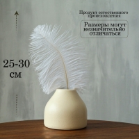 Перо для декора, размер: 25-30 см, цвет белый Перо для декора, размер: 25-30 см, цвет белый