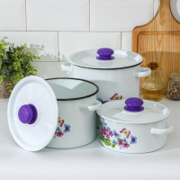 Набор кастрюль &laquo;Фиалка&raquo;, 3 предмета: 2 л, 3.5 л, 5.5 л, эмалированные крышки, индукция, цвет МИКС