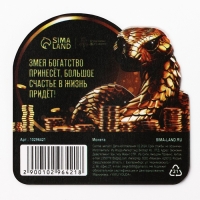 Монета новогодняя &laquo;Богатого 2025&raquo; на Новый год, диам. 2,2 см