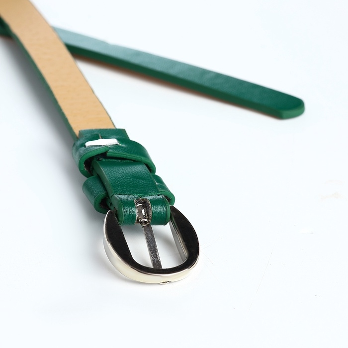 Ремень жен 01-01-02-01 Июнь14, 1,1*0,3*110 см, пряжка металл, 1 прокол, зеленый Ремень жен 01-01-02-01 Июнь14, 1,1*0,3*110 см, пряжка металл, 1 прокол, зеленый