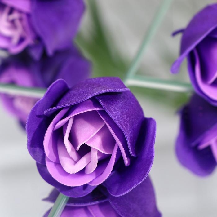 Мыльные розочки, трёхцветные,набор 6 шт. Мыльные розочки, трёхцветные,набор 6 шт.