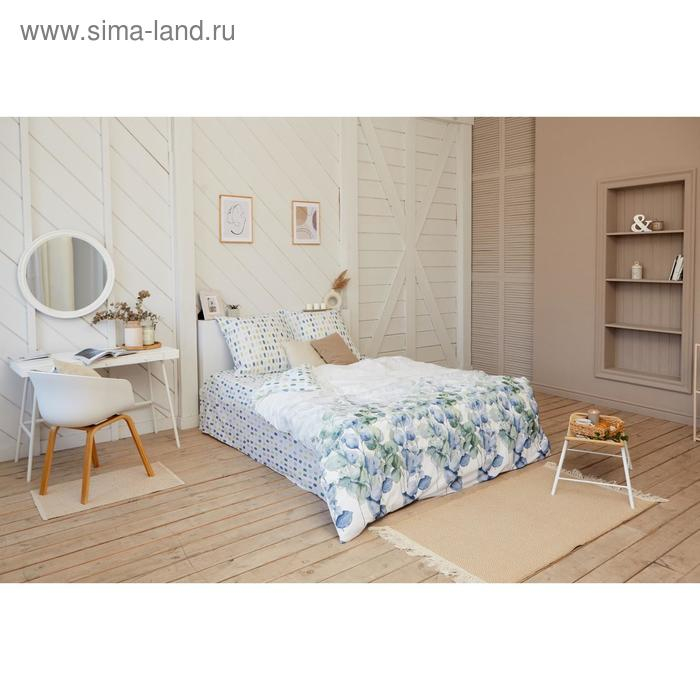 Постельное бельё &laquo;Этель&raquo; Евро Eucalyptus 200х217 см, 240х220 см, 70х70 см - 2 шт