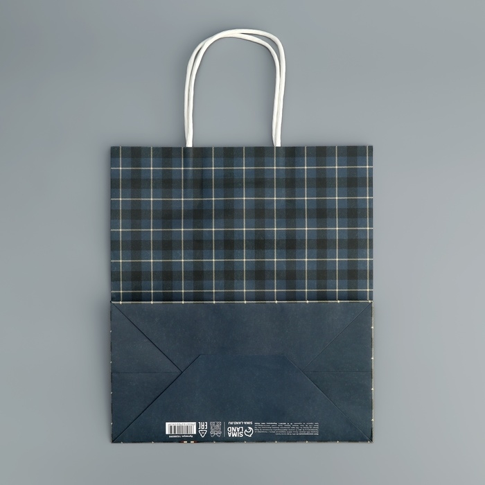 Пакет подарочный крафтовый, упаковка, &laquo;Клетка&raquo;, 22 х 25 х 12 см