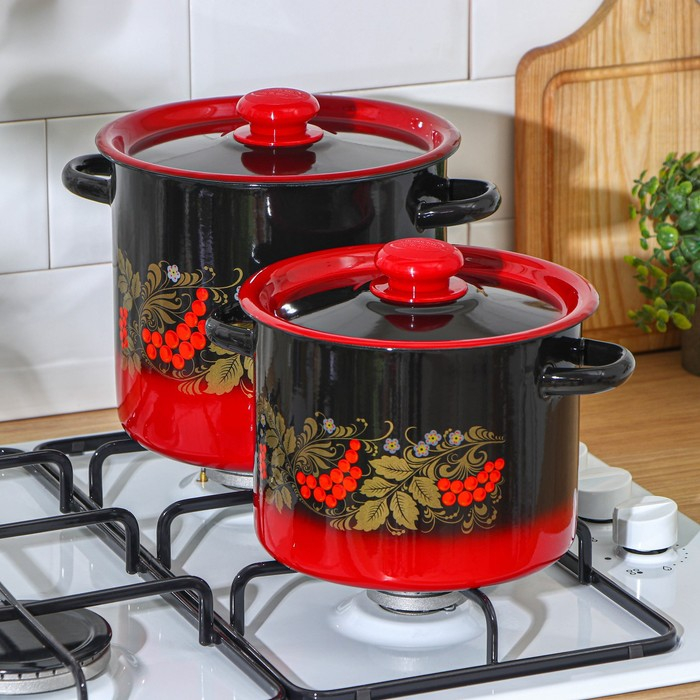 Набор кастрюль &laquo;Рябинка&raquo;, 2 предмета: 3,5 л, 5,5 л, индукция