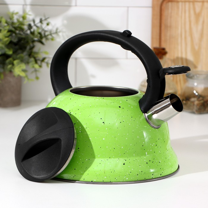 Чайник со свистком из нержавеющей стали Доляна &laquo;Рио&raquo;, 2,8 л, фиксированная ручка, цвет зелёный