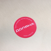 Лопатка для пиццы Доляна «Салем», 44,5×25×6 см, рабочая часть d=25 см Лопатка для пиццы Доляна «Салем», 44,5×25×6 см, рабочая часть d=25 см