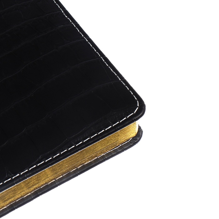 Ежедневник датированный 2025 B6 168 листов, deVENTE. Wild, твердая обложка кожзам с поролоном, перфорация, ляссе, блок 70,черный