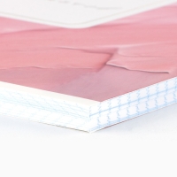 Тетрадь в клетку А4 в клетку, 96 листов на скрепке &laquo;1 сентября:Розовая текстура&raquo;