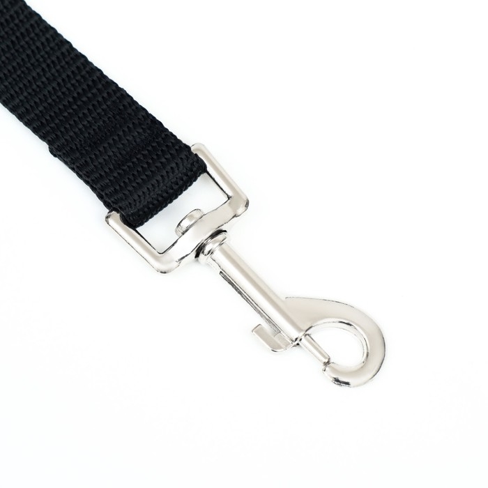 Поводок 2 м х 2 см, черный Поводок 2 м х 2 см, черный