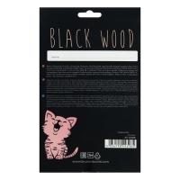 Карандаши цветные 18 цветов BlackWoodColor, пластиковые, трёхгранные, МИКС Карандаши цветные 18 цветов BlackWoodColor, пластиковые, трёхгранные, МИКС