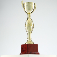 Кубок 042С, наградная фигура, золото, подставка пластик, 26,2 × 8,7 × 7,5 см. Кубок 042С, наградная фигура, золото, подставка пластик, 26,2 × 8,7 × 7,5 см.