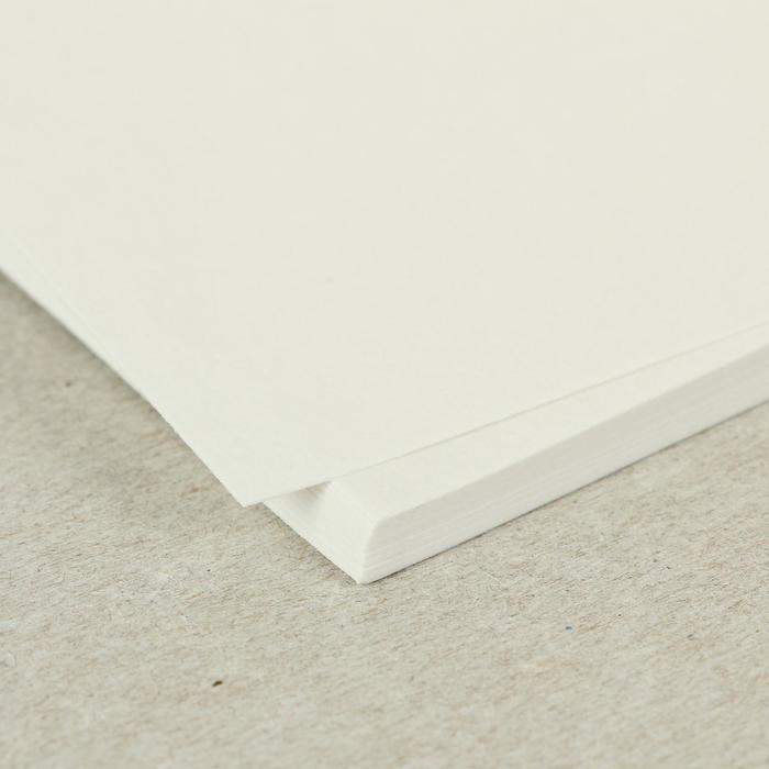 Папка для работ гуашью и акварелью А3, 20 листов Папка для работ гуашью и акварелью А3, 20 листов "Весенний лес", блок 160 г/м²