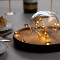 Гирлянда «Нить» 2 м роса с насадками «Ангелочек», IP20, серебристая нить, 20 LED, батарейки ААх2 (нет в комплекте), свечение тёплое белое Гирлянда «Нить» 2 м роса с насадками «Ангелочек», IP20, серебристая нить, 20 LED, батарейки ААх2 (нет в комплекте), свечение тёплое белое