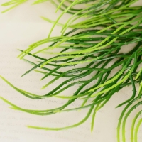 Букет "Папоротник узкий" 26 см Букет "Папоротник узкий" 26 см