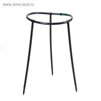 Кустодержатель, d = 48 см, h = 70 см, ножка d = 2 см, пластик, чёрный &laquo;Роза&raquo;