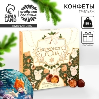 Конфеты грильяж &laquo;Сказочного года&raquo; с арахисом, изюмом, цукатами из апельсина и мёдом, в коробке, 135 г.