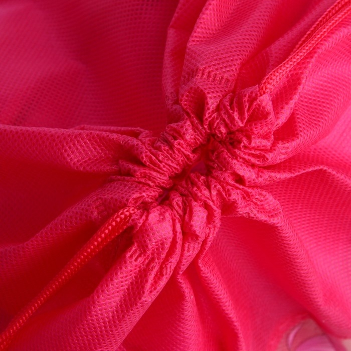 Мешок для обуви &laquo;Аниме девушка&raquo; полиэстер, размер 30 х 40 см