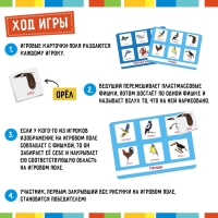 Лото &laquo;Мир животных&raquo; по методике Г. Домана, 1-4 игрока, 3+