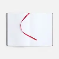 Ежедневник Nebraska Flex, недатированный, бордовый с золотистым Ежедневник Nebraska Flex, недатированный, бордовый с золотистым