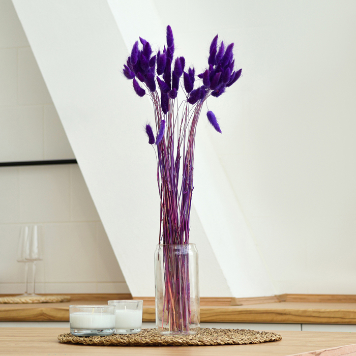 Сухоцветы &laquo;Лагурус&raquo;, набор 30 шт., цвет фиолетовый