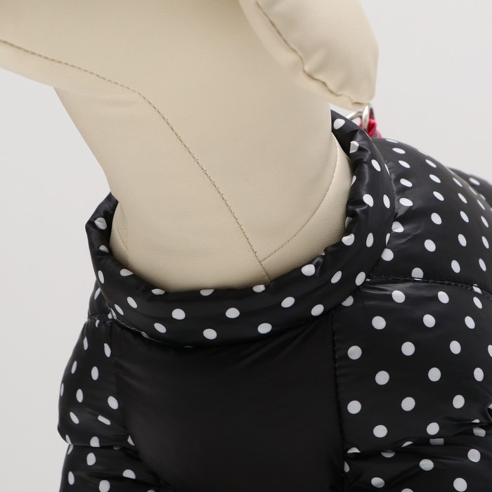 Комбинезон для собак Комбинезон для собак "Горошек", размер 18 (ДС 31, ОГ 46, ОШ 38 см), чёрный