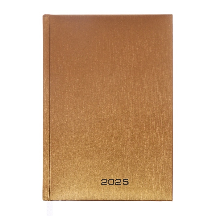 Ежедневник датированный 2024 года, А5, 176 листов, Attomex.Regent, обложка бумвинил, ляссе, блок 70 г/м2, золотой