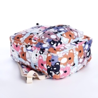 Рюкзак школьный из текстиля на молнии, 3 кармана, пенал, цвет разноцветный Рюкзак школьный из текстиля на молнии, 3 кармана, пенал, цвет разноцветный